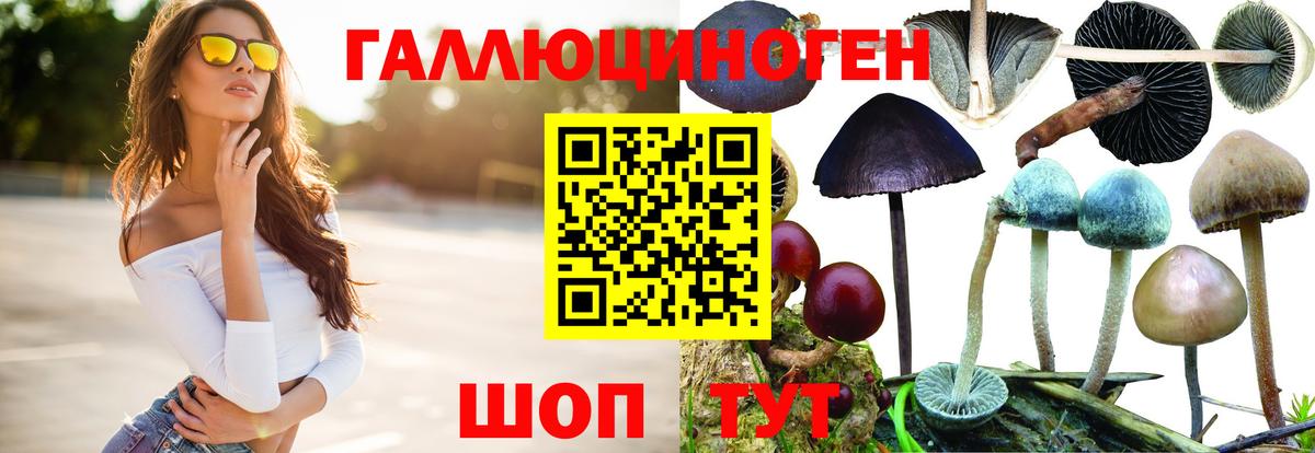 Галлюциногенные грибы MAGIC MUSHROOMS Чехов